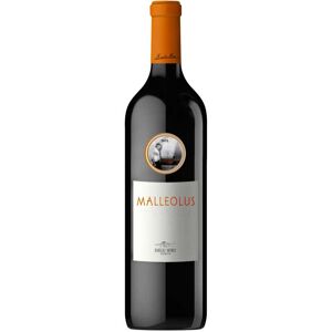Emilio Moro Malleolus Magnum 2022 Vino Tinto D.O. Ribera del Duero 150cl Emilio Moro Malleolus Magnum 2022 Vino Tinto D.O. Ribera del Duero 150cl