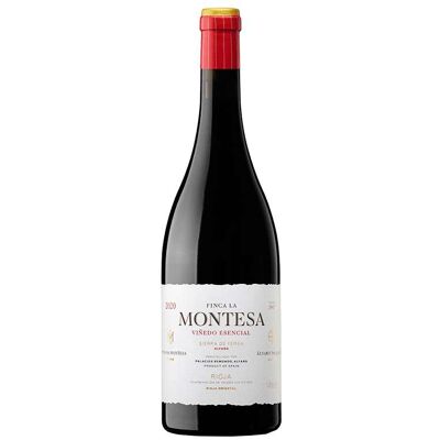 La Montesa 2021 de Palacios Remondo - Vino español con cuerpo y elegancia La Montesa 2021 de Palacios Remondo - Vino español con cuerpo y elegancia