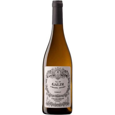Virgen del Galir Pagos de Galir Godello 2023 - Vino Blanco Virgen del Galir Pagos de Galir Godello 2023 - Vino Blanco