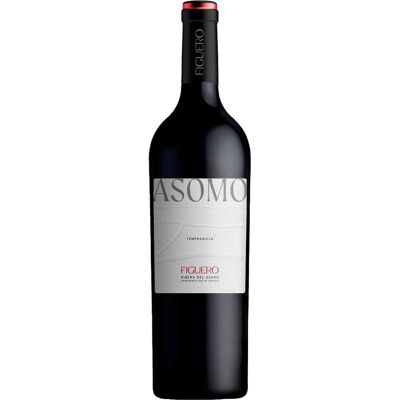 Vino Tinto García Figuero Ribera del Duero - 75cl Vino Tinto García Figuero Ribera del Duero - 75cl