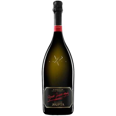 Celler Kripta Singular Magnum 2019 - Vino Espumoso de Agusti Torello Mata, España Celler Kripta Singular Magnum 2019 - Vino Espumoso de Agusti Torello Mata, España