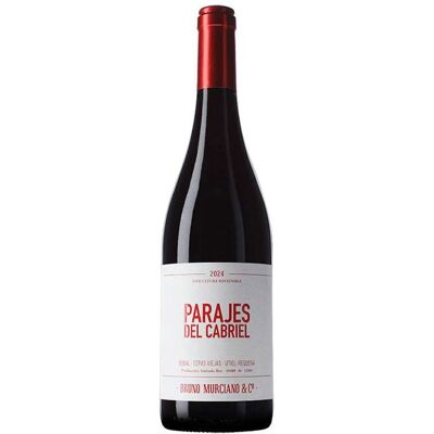 Bruno Murciano & David Sampedro Parajes de Cabriel 2022 - Vino Tinto Bruno Murciano & David Sampedro Parajes de Cabriel 2022 - Vino Tinto
