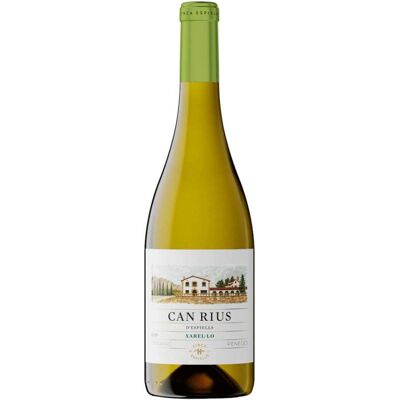Can Rius dEspiells Xarello 2024 - Vino blanco fresco de Juvé y Camps, ideal para maridar Can Rius dEspiells Xarello 2024 - Vino blanco fresco de Juvé y Camps, ideal para maridar