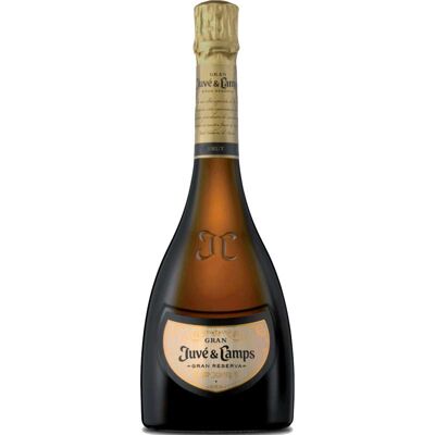 Juvé y Camps Vino Gran Juvé & Camps 2017 - Elegancia y sabor excepcional de España Juvé y Camps Vino Gran Juvé & Camps 2017 - Elegancia y sabor excepcional de España