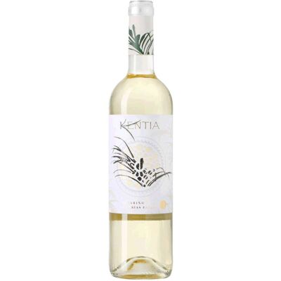 Bodegas Juan Gil Kentia Albariño 2024 Vino Blanco D.O. Rias Baixas 75 cl. Bodegas Juan Gil Kentia Albariño 2024 Vino Blanco D.O. Rias Baixas 75 cl.