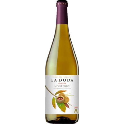 La Duda Godello 2025 - Vino blanco fresco y elegante de Codorniu, España La Duda Godello 2025 - Vino blanco fresco y elegante de Codorniu, España