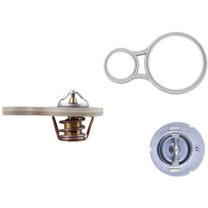 Termostato Mahle TX 255 91°C con junta - Termostato Termostato Mahle TX 255 91°C con junta - Termostato