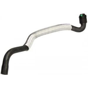Manguera de radiador THERMOTEC DNX032TT - Componente del sistema de enfriamiento Manguera de radiador THERMOTEC DNX032TT - Componente del sistema de enfriamiento