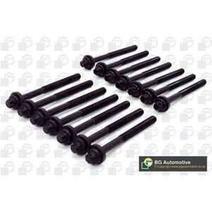 BMW BK5316 Juego de tornillos de culata - para BMW, Opel, Land Rover BMW BK5316 Juego de tornillos de culata - para BMW, Opel, Land Rover