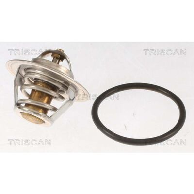 TRISCAN 8620 7188 Termostato - Control de Temperatura del Agua TRISCAN 8620 7188 Termostato - Control de Temperatura del Agua