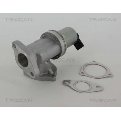 Válvula EGR TRISCAN 8813 43002 de Aluminio con Juntas - EGR Válvula EGR TRISCAN 8813 43002 de Aluminio con Juntas - EGR