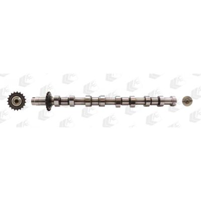 AE CAM751 Árbol de levas - Pieza de motor para Peugeot, Citroën, Fiat, Lancia, Suzuki AE CAM751 Árbol de levas - Pieza de motor para Peugeot, Citroën, Fiat, Lancia, Suzuki