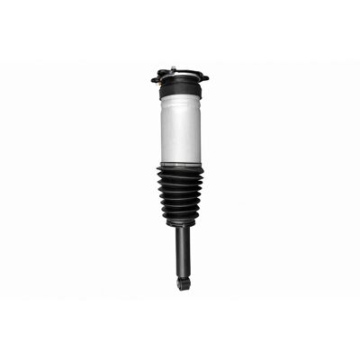 Tesla Vaico Amortiguador Trasero - Shock Absorber Tesla Vaico Amortiguador Trasero - Shock Absorber