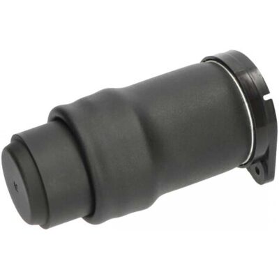 KAVO PARTS SAS-10021 Amortiguador de aire - Amortiguador de aire KAVO PARTS SAS-10021 Amortiguador de aire - Amortiguador de aire
