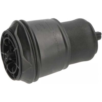 KAVO PARTS SAS-10024 - Resorte de aire KAVO PARTS SAS-10024 - Resorte de aire
