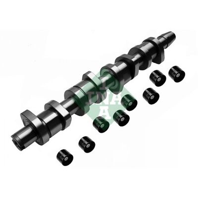 Juego de árboles de levas INA 428 0039 30 - Piezas de coche para VW, Audi, Seat, Škoda Juego de árboles de levas INA 428 0039 30 - Piezas de coche para VW, Audi, Seat, Škoda
