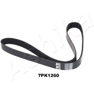 ASHIKA 112-7PK1260 Correa Poly-V de Accesorios - Correa en V ASHIKA 112-7PK1260 Correa Poly-V de Accesorios - Correa en V