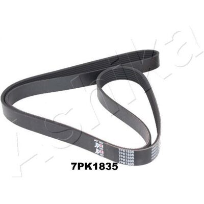 Ashika 112-7PK1835 Correa Poly-V - Correa de accesorios Ashika 112-7PK1835 Correa Poly-V - Correa de accesorios