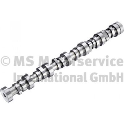 BF 20100913000 Árbol de levas para DAF - Camshaft BF 20100913000 Árbol de levas para DAF - Camshaft