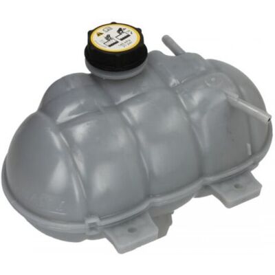 THERMOTEC DBG029TT - Depósito de expansión para Ford Mustang Mk6 Coupé THERMOTEC DBG029TT - Depósito de expansión para Ford Mustang Mk6 Coupé