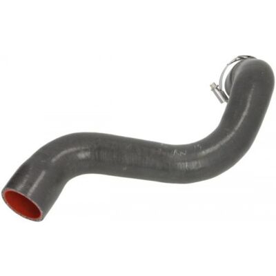 Manguera de Turbo Thermotec - Entrada de Aire para Renault Megane 2, Scenic 2, Grand Scenic 2 Manguera de Turbo Thermotec - Entrada de Aire para Renault Megane 2, Scenic 2, Grand Scenic 2