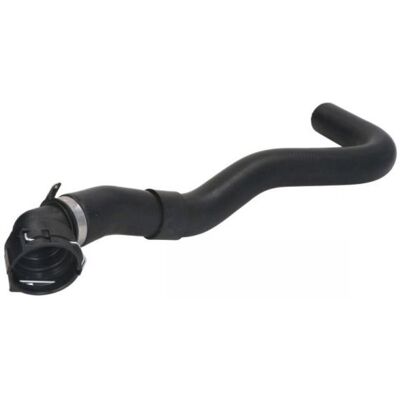 Manguera superior del radiador THERMOTEC DWP165TT Manguera superior del radiador THERMOTEC DWP165TT