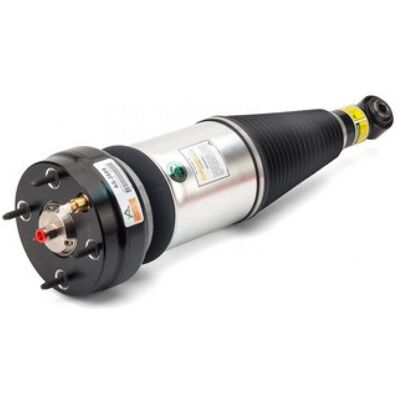 Amortiguador telescópico neumático Arnott AS-2889 Amortiguador telescópico neumático Arnott AS-2889