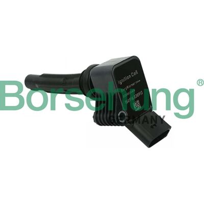 Borsehung Bobina de encendido y módulo - Compatible con Audi, Seat, Skoda, VW Borsehung Bobina de encendido y módulo - Compatible con Audi, Seat, Skoda, VW
