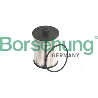 Filtro de Combustible Borsehung B12199 - Filtro de combustible Filtro de Combustible Borsehung B12199 - Filtro de combustible