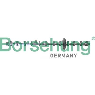 Árbol de levas BORSEHUNG B12296 - Pieza OEM BMW Árbol de levas BORSEHUNG B12296 - Pieza OEM BMW