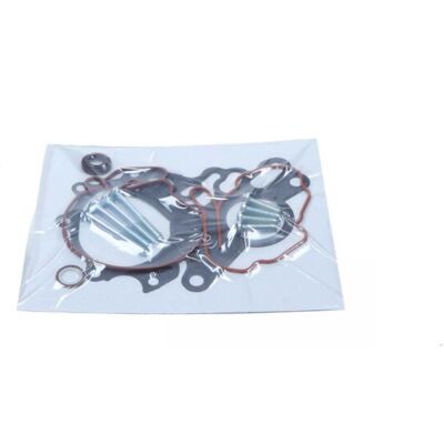 Maxgear Modelo 03G145209 Kit reparación bomba de vacío para Audi, Skoda, VW Maxgear Modelo 03G145209 Kit reparación bomba de vacío para Audi, Skoda, VW