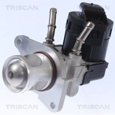Válvula EGR TRISCAN 8813 11001 Válvula EGR TRISCAN 8813 11001
