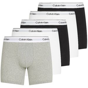 Calvin Klein Pants Paquete de 5 multi gris claro L Calvin Klein Pants Paquete de 5 multi gris claro L