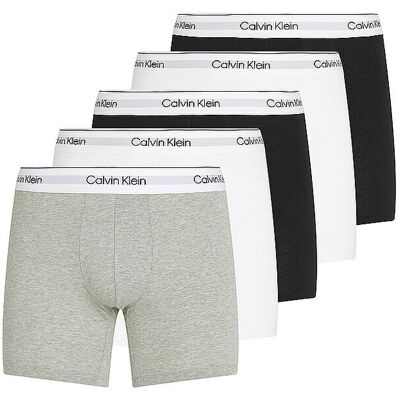 Calvin Klein Pants Paquete de 5 multi gris claro S Calvin Klein Pants Paquete de 5 multi gris claro S