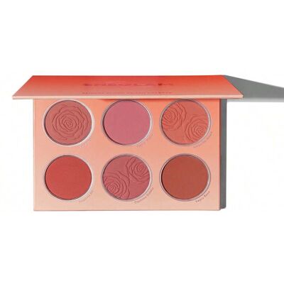 SHEIN Paleta De Rubor Floral Flush Paleta De Rubor En Polvo Compacto De 6 Colores Alta PigmentacióN No Se Desvanece Larga DuracióN Rubor Mate Ligero Navidad Invierno Rubor Rosa Rare Colorete SHEIN Paleta De Rubor Floral Flush Paleta De Rubor En Polvo Compacto De 6 Colores Alta PigmentacióN No Se Desvanece Larga DuracióN Rubor Mate Ligero Navidad Invierno Rubor Rosa Rare Colorete