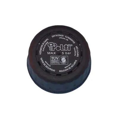 Oferta Tapon de Seguidad Polti (Grande) SL001672 Oferta Tapon de Seguidad Polti (Grande) SL001672