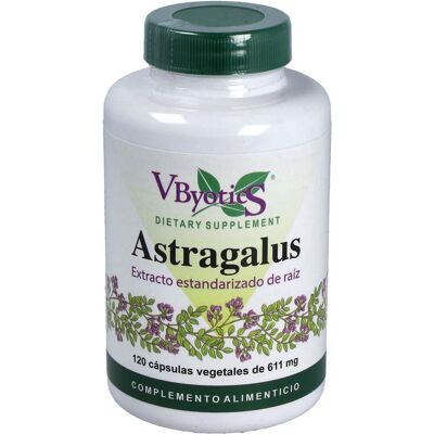 Vbyotics astragalus ext. raiz 120cap. Vbyotics astragalus ext. raiz 120cap.
