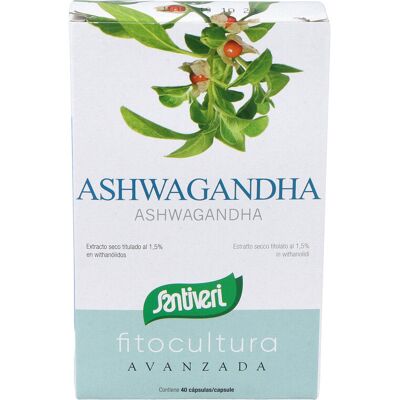 Santiveri Modelo - Cápsulas de ashwagandha - Suplemento alimenticio Santiveri Modelo - Cápsulas de ashwagandha - Suplemento alimenticio