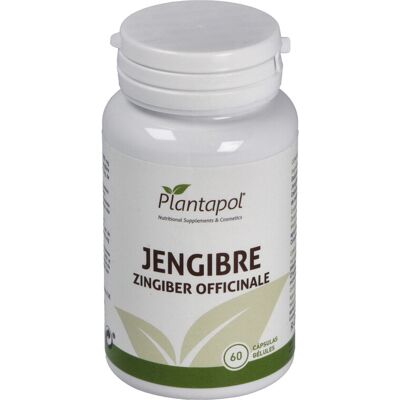 Plantapol Jengibre 600mg Cápsulas - Suplemento alimenticio Plantapol Jengibre 600mg Cápsulas - Suplemento alimenticio