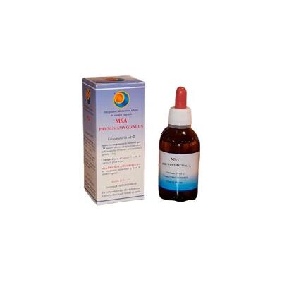 Herboplanet Msa Prunus Amygdalus 50 ml Suplemento Herboplanet Msa Prunus Amygdalus 50 ml Suplemento