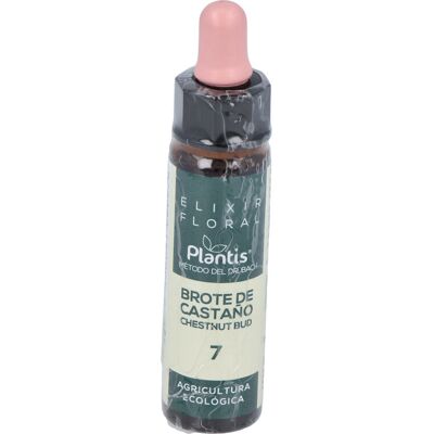 Plantis Brote de Castaño No. 7 Eco - Elixir Floral Plantis Brote de Castaño No. 7 Eco - Elixir Floral