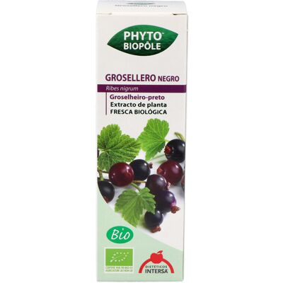 Intersa Grosellero Negro Phytobiopole - Apoya el sistema inmunológico Intersa Grosellero Negro Phytobiopole - Apoya el sistema inmunológico