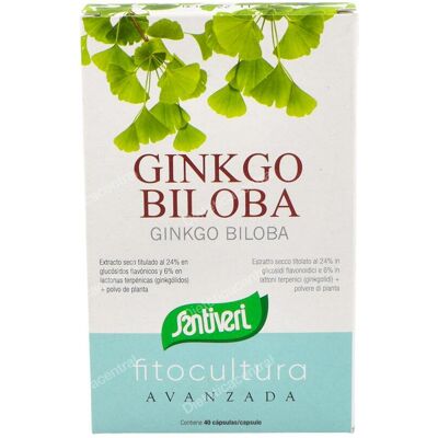 Santiveri Ginkgo Biloba - 40 Cápsulas - Apoyo a la Memoria Santiveri Ginkgo Biloba - 40 Cápsulas - Apoyo a la Memoria