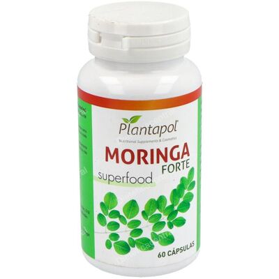 Planta Pol Moringa Forte 60 Cápsulas - Complemento Alimentar Planta Pol Moringa Forte 60 Cápsulas - Complemento Alimentar