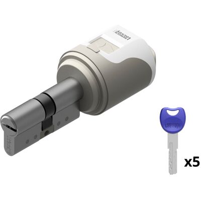 REMOCK - Cerradura Inteligente con Cilindro Magic. Níquel 30 x 40 mm REMOCK - Cerradura Inteligente con Cilindro Magic. Níquel 30 x 40 mm
