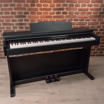 OQAN - Piano digital QP88S. Negro OQAN - Piano digital QP88S. Negro