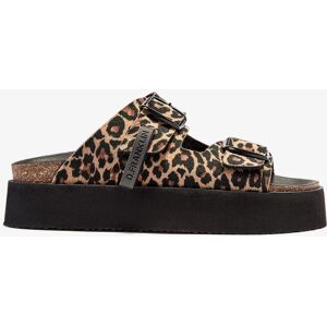 D.Franklin Sandalias planas de mujer con plataforma Vibe buckle leopardo. (39) Marrón oscuro mujer D.Franklin Sandalias planas de mujer con plataforma Vibe buckle leopardo. (39) Marrón oscuro mujer