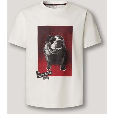 Pepe Jeans - Camiseta de hombre gráfico estampado fit regular. Blanco XXL Pepe Jeans - Camiseta de hombre gráfico estampado fit regular. Blanco XXL