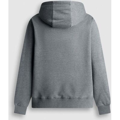Pepe Jeans - Sudadera de hombre capucha fit regular red bull racing. Gris S Pepe Jeans - Sudadera de hombre capucha fit regular red bull racing. Gris S