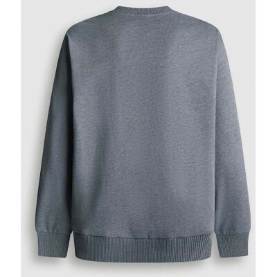 Pepe Jeans - Sudadera de hombre cuello redondo fit regular red bull racing. Gris M Pepe Jeans - Sudadera de hombre cuello redondo fit regular red bull racing. Gris M